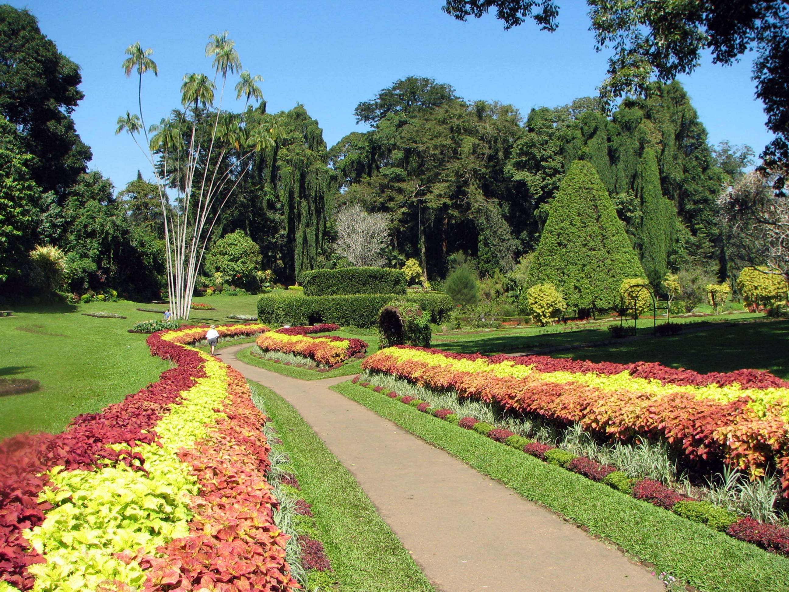 Sri Lanka Tour Package 7 Days Image