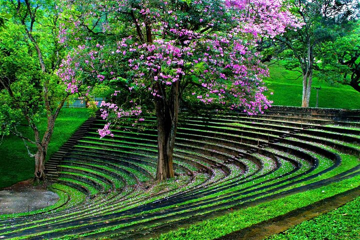 Sri Lanka Tour Package 7 Days Image