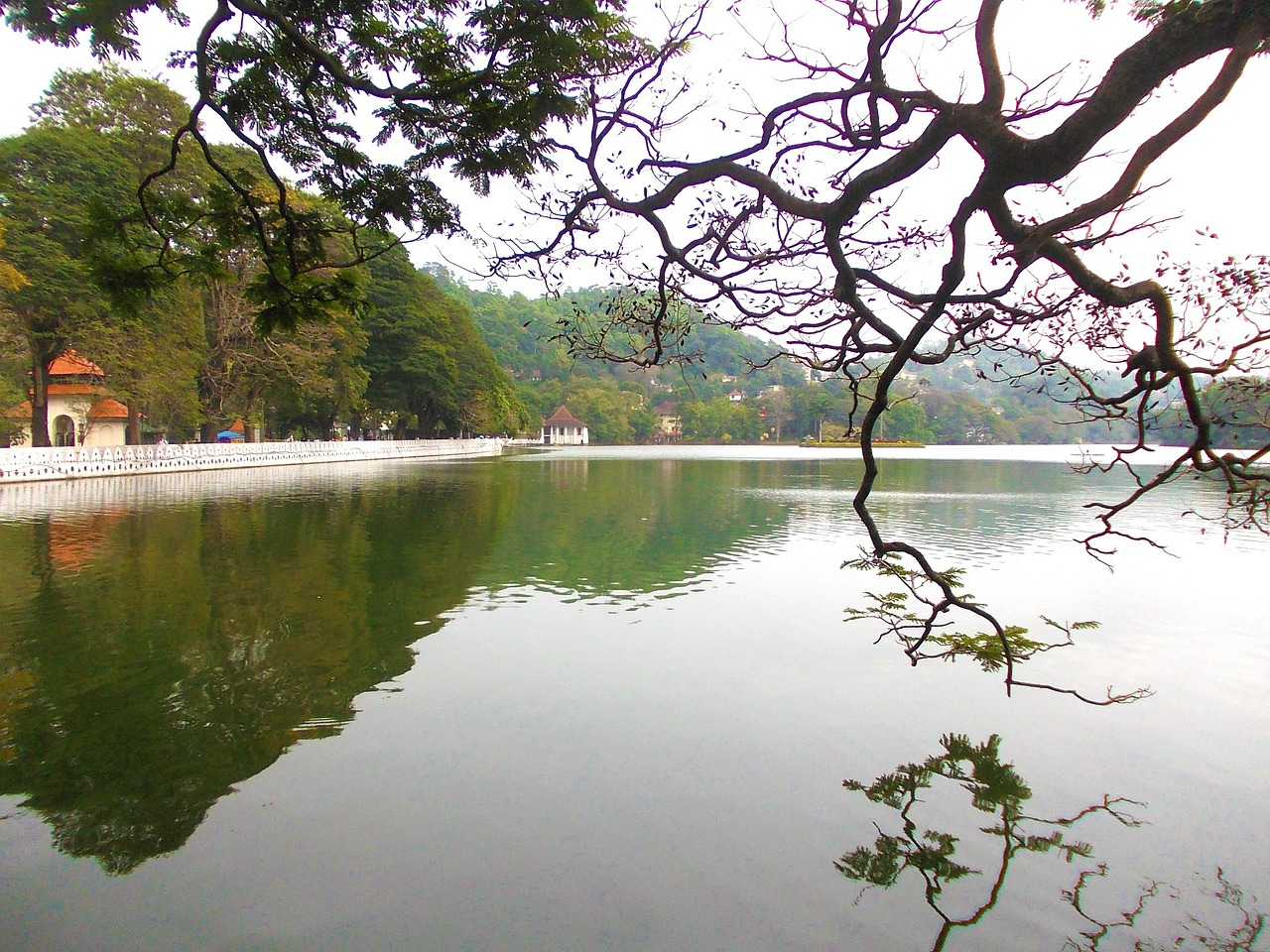 Sri Lanka Tour Package 7 Days Image