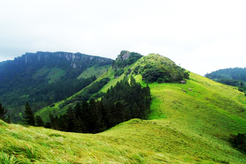Sri Lanka Tour Package 7 Days Image