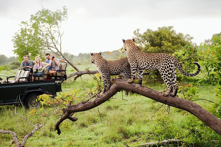 Sri Lanka Tour Package 7 Days Image