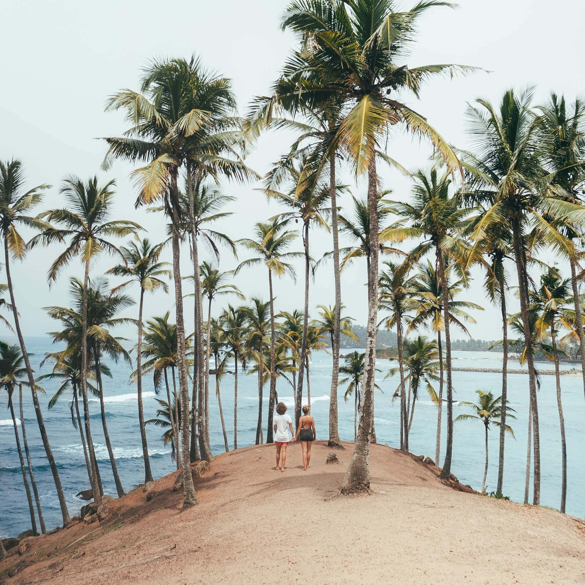 Sri Lanka Tour Package 7 Days Image