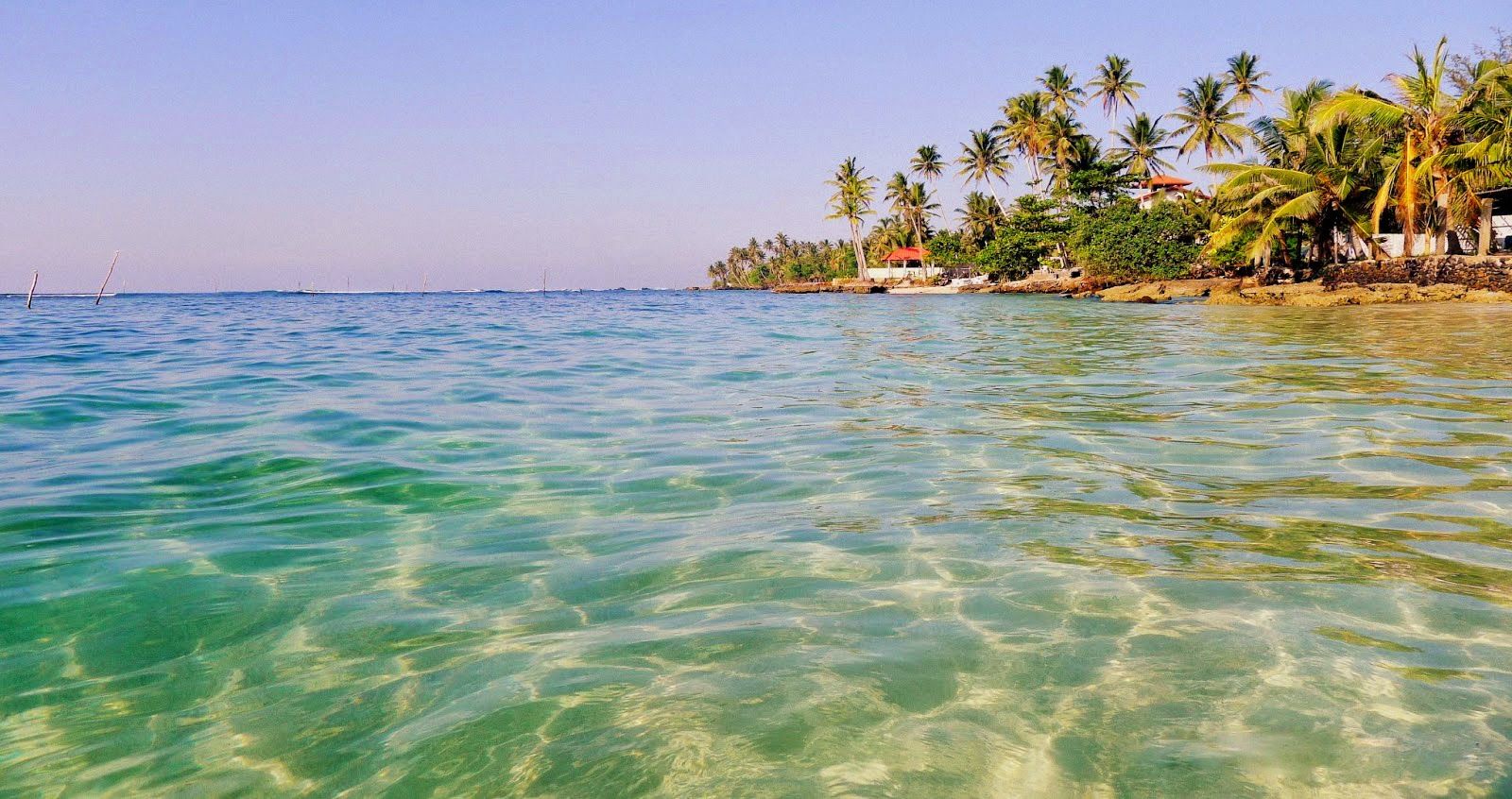 Sri Lanka Tour Package 7 Days Image