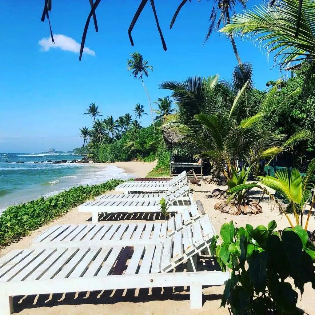 Sri Lanka Tour Package 7 Days Image