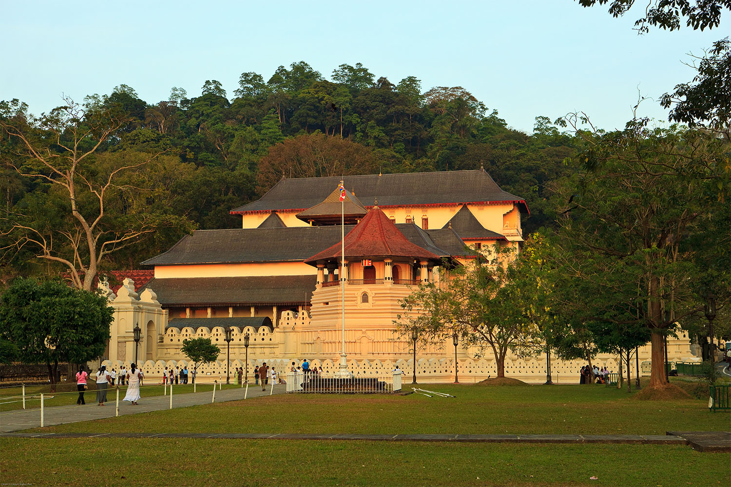 Sri Lanka Tour Package 7 Days Image