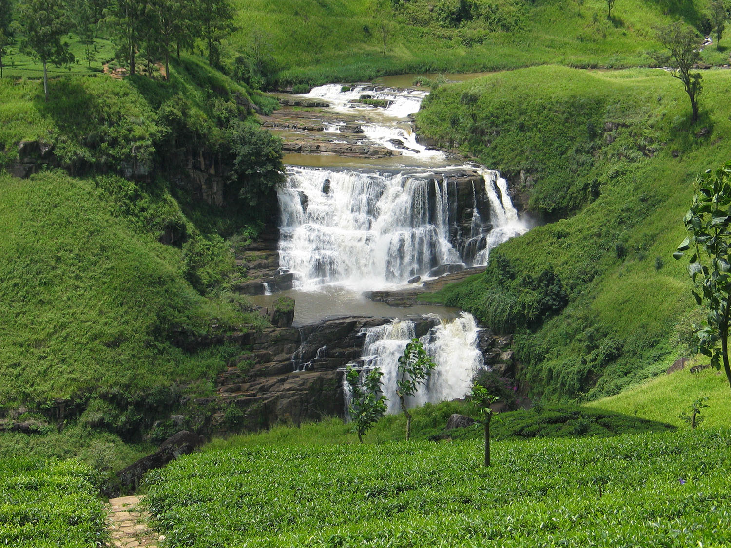 Sri Lanka Tour Package 7 Days Image