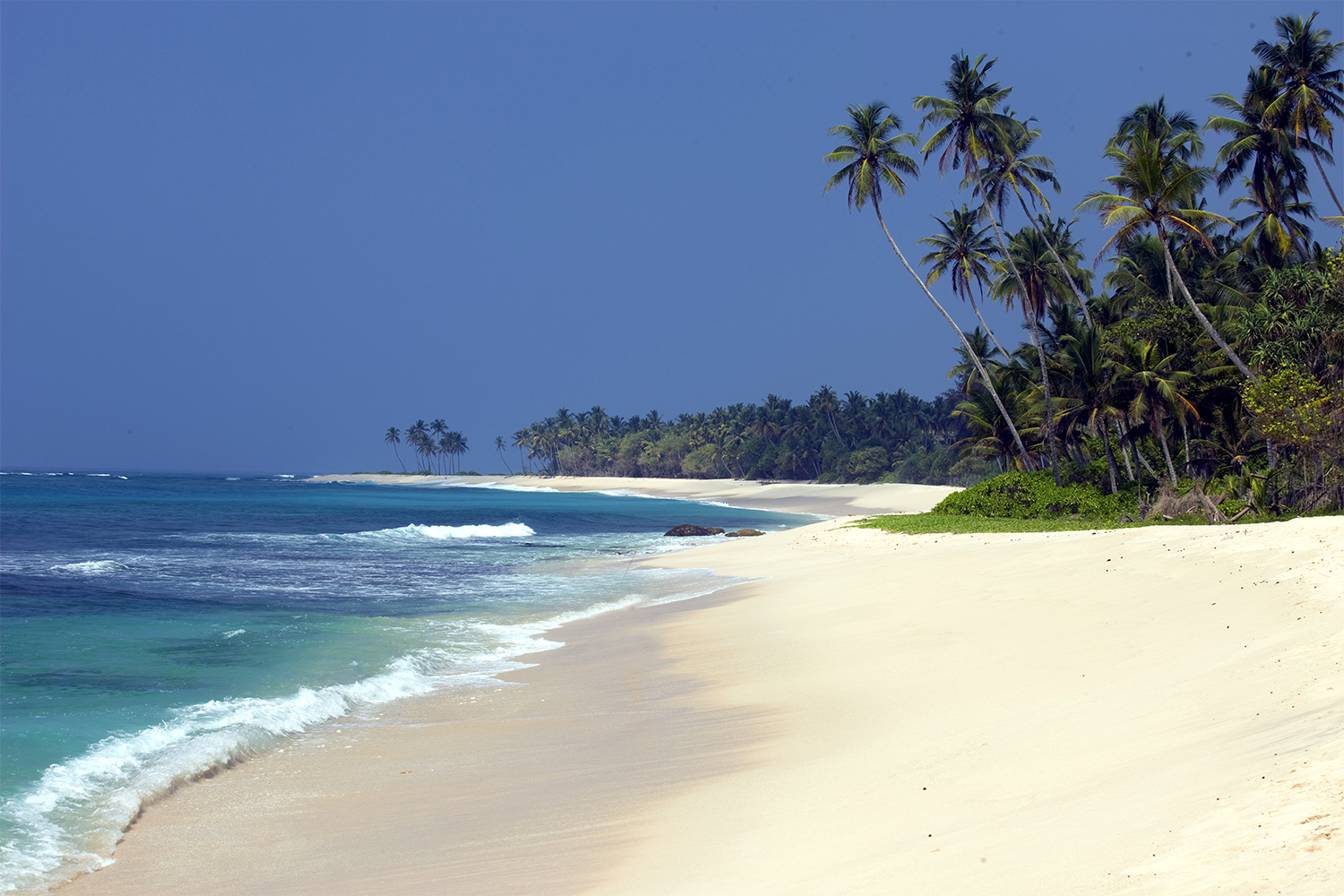 Sri Lanka Tour Package 7 Days Image