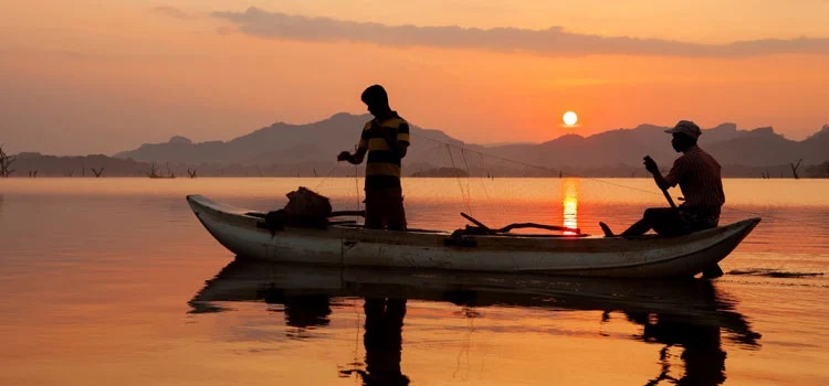 Sri Lanka Tour Package 7 Days Image