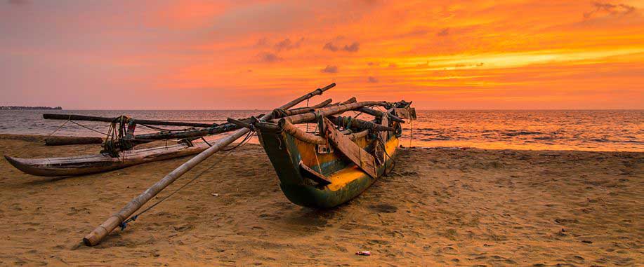 Sri Lanka Tour Package 7 Days Image