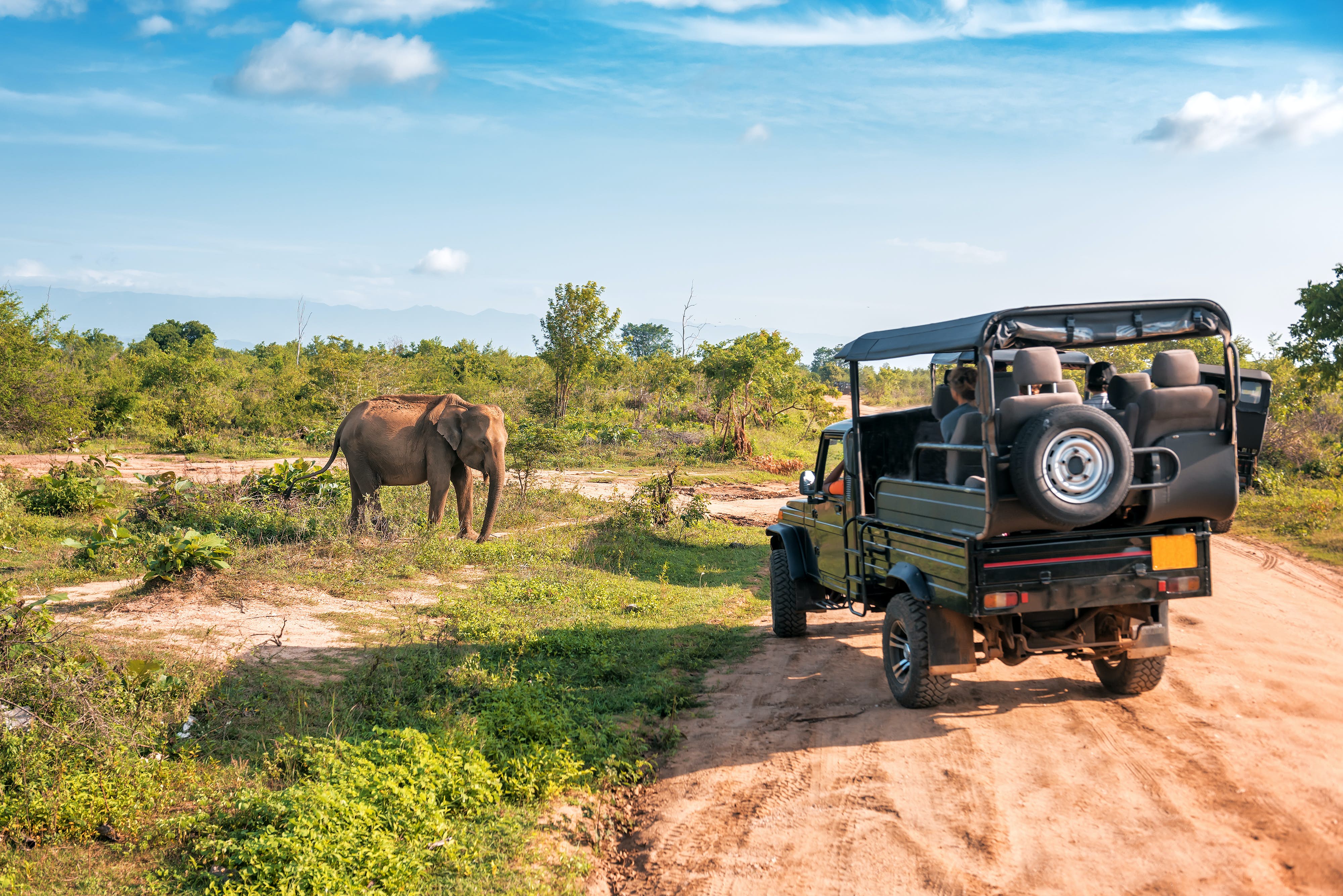 Sri Lanka Tour Package 7 Days Image