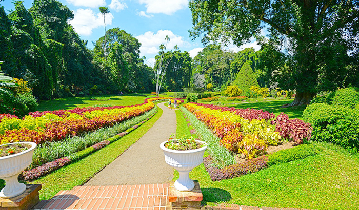 Sri Lanka Tour Package 7 Days Image